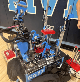 Wartortle | 2024-2025